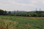 Lancaster County Fields